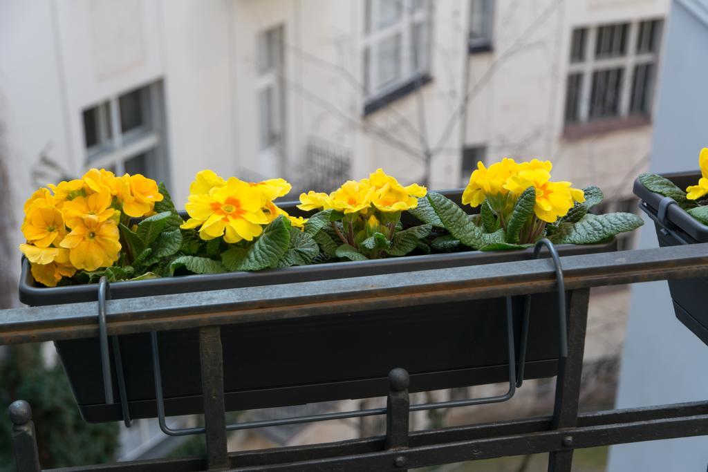Decadent Art Deco Balcony Apartment In Old Town 프라하 외부 사진